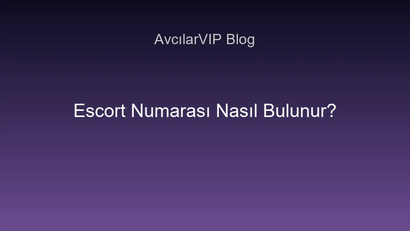 Escort numarası bulma rehberi